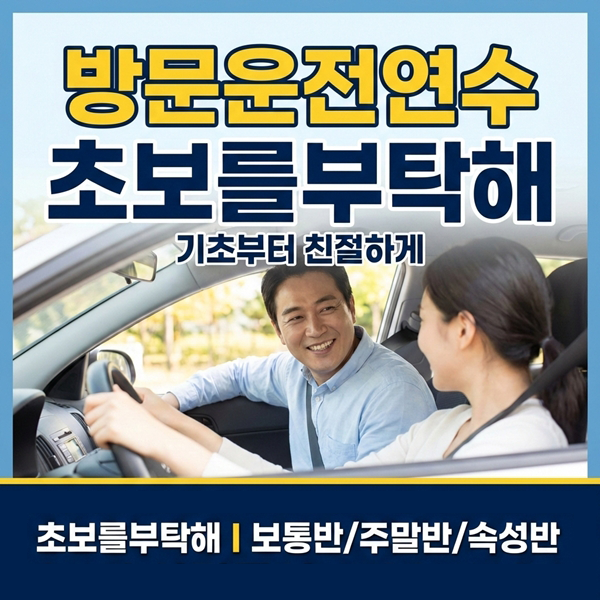 일산운전연수 초보를부탁해