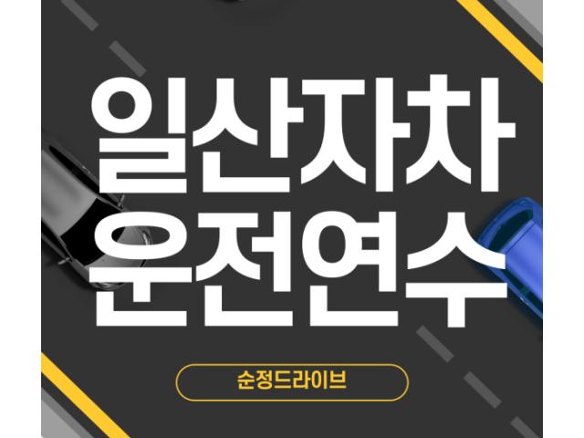 일산자차운전연수